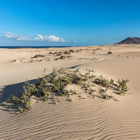 Apartman Home2book Bright With Pool & Terrace *