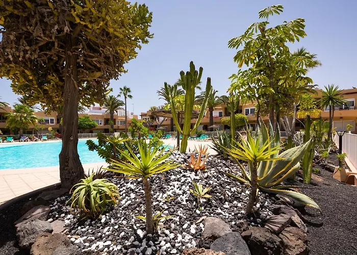 Home2book Bright With Pool & Terrace Διαμέρισμα *